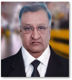 GS Balakrishnan — Sr Consultant — Industrialization, Cobex India